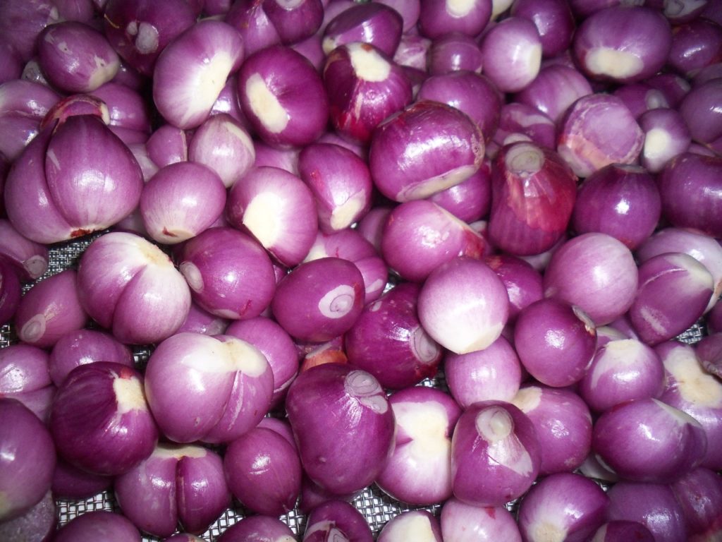 Máy Lột Nước Hành Tỏi Gừng