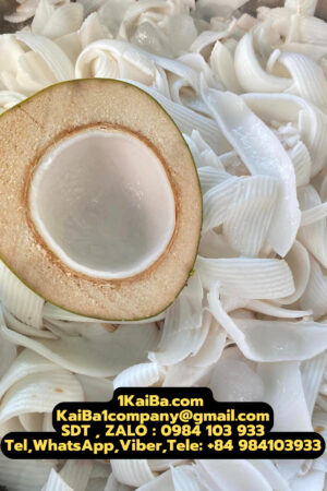 Máy Chặt Dừa của Nhà Máy KaiBa