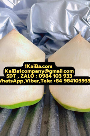 máy gọt dừa kim cương Kaiba