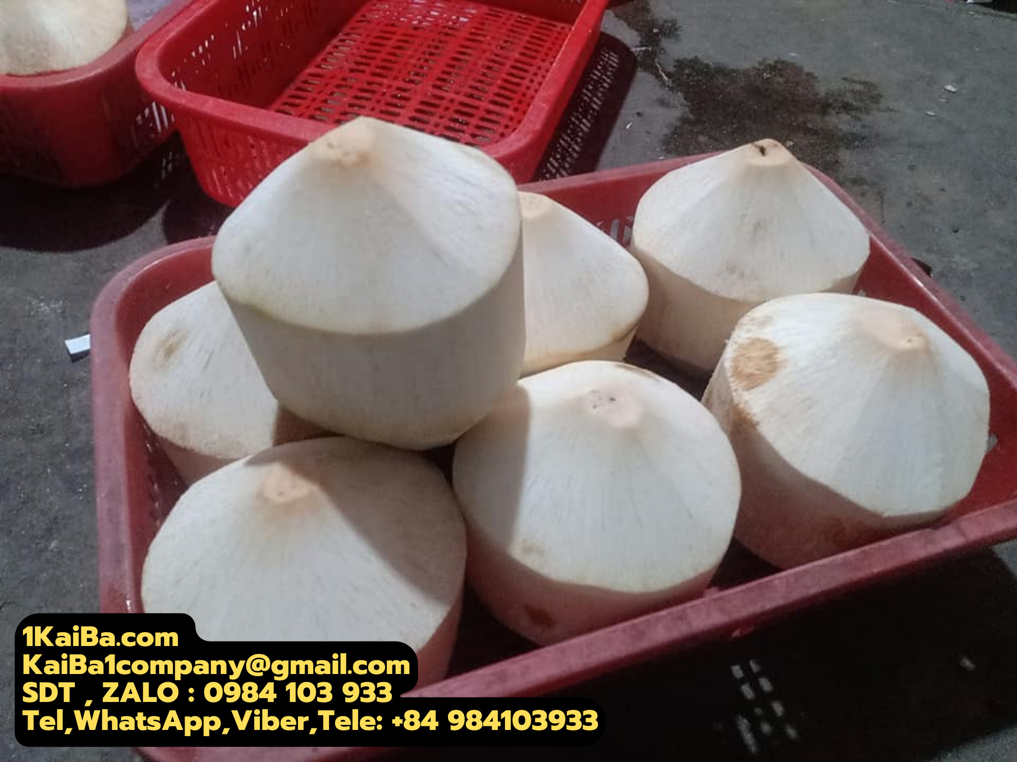 máy gọt dừa kim cương Kaiba