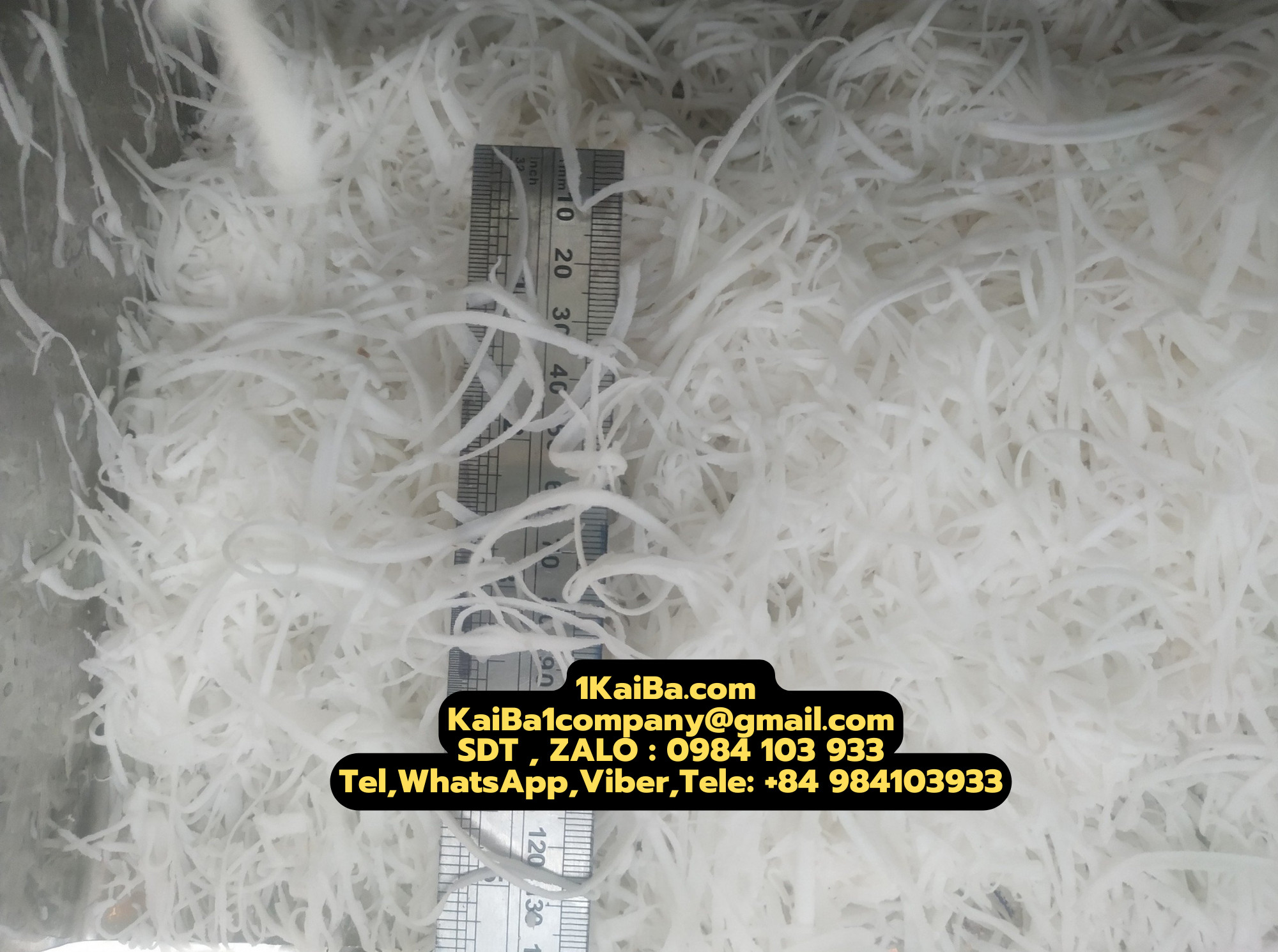 z4560629519362_c86464bc756528afd4f43ad4532ec71d