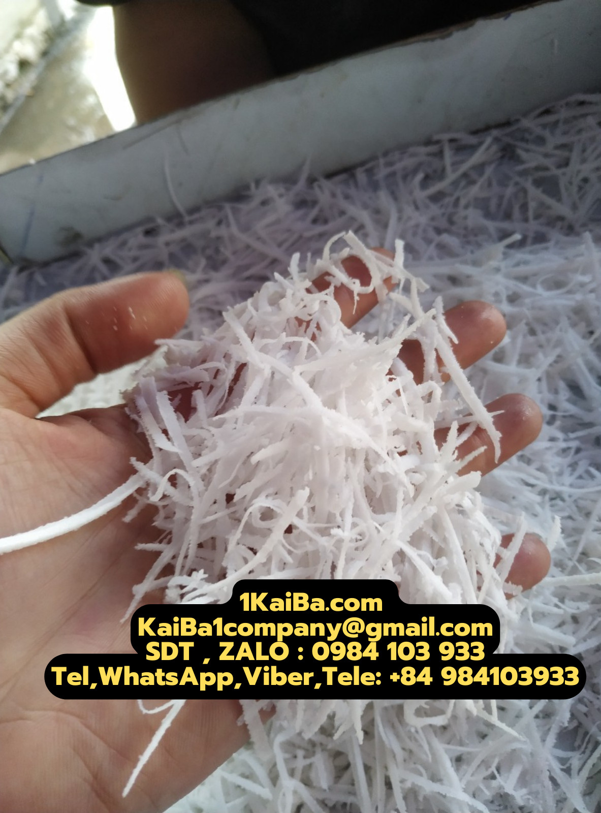 z4560629537290_83794450b09dfea14a63fb50fe3a4fad