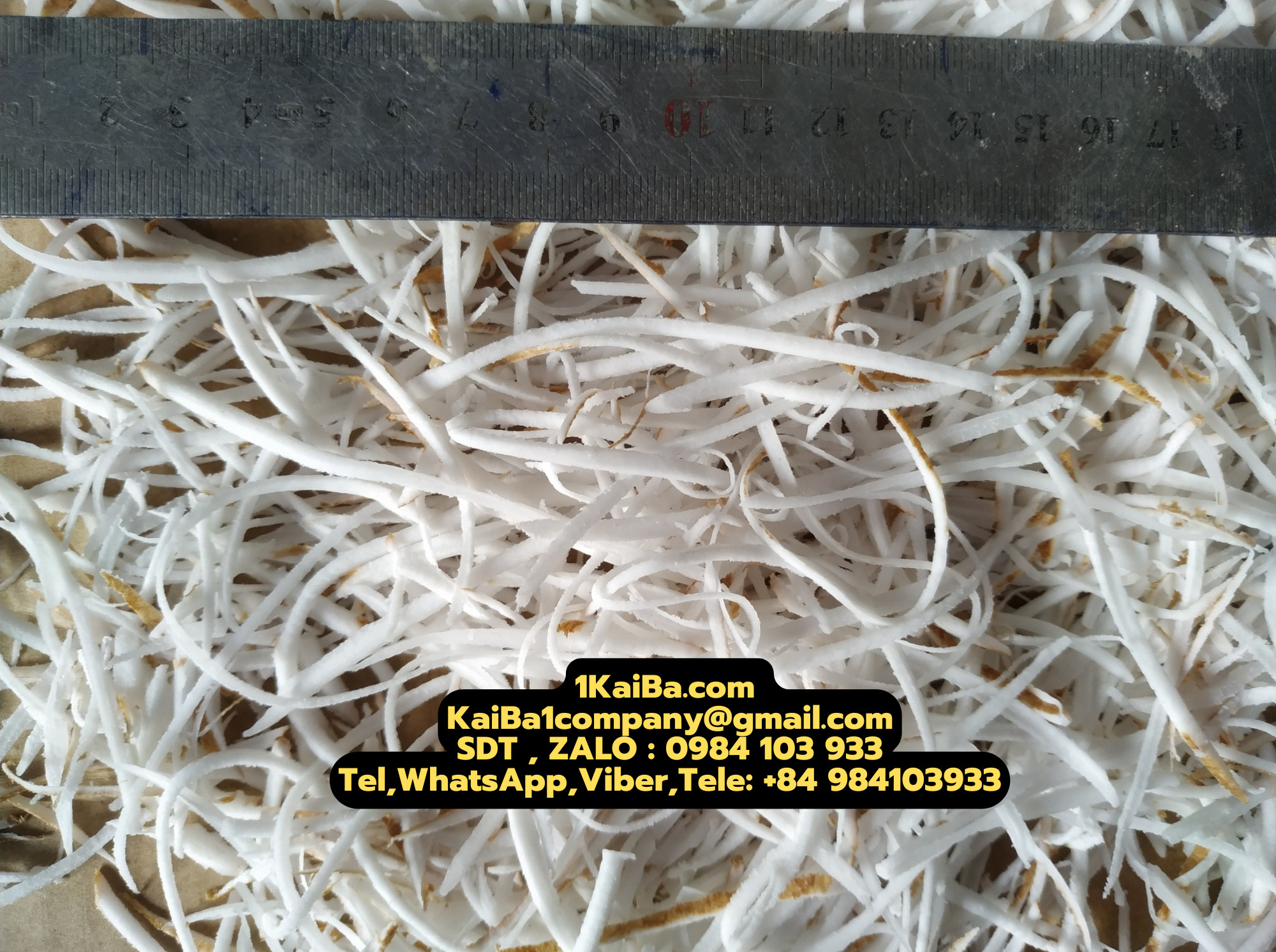z4569339268126_6021ad14e6009e5e37e8c828c9477f06