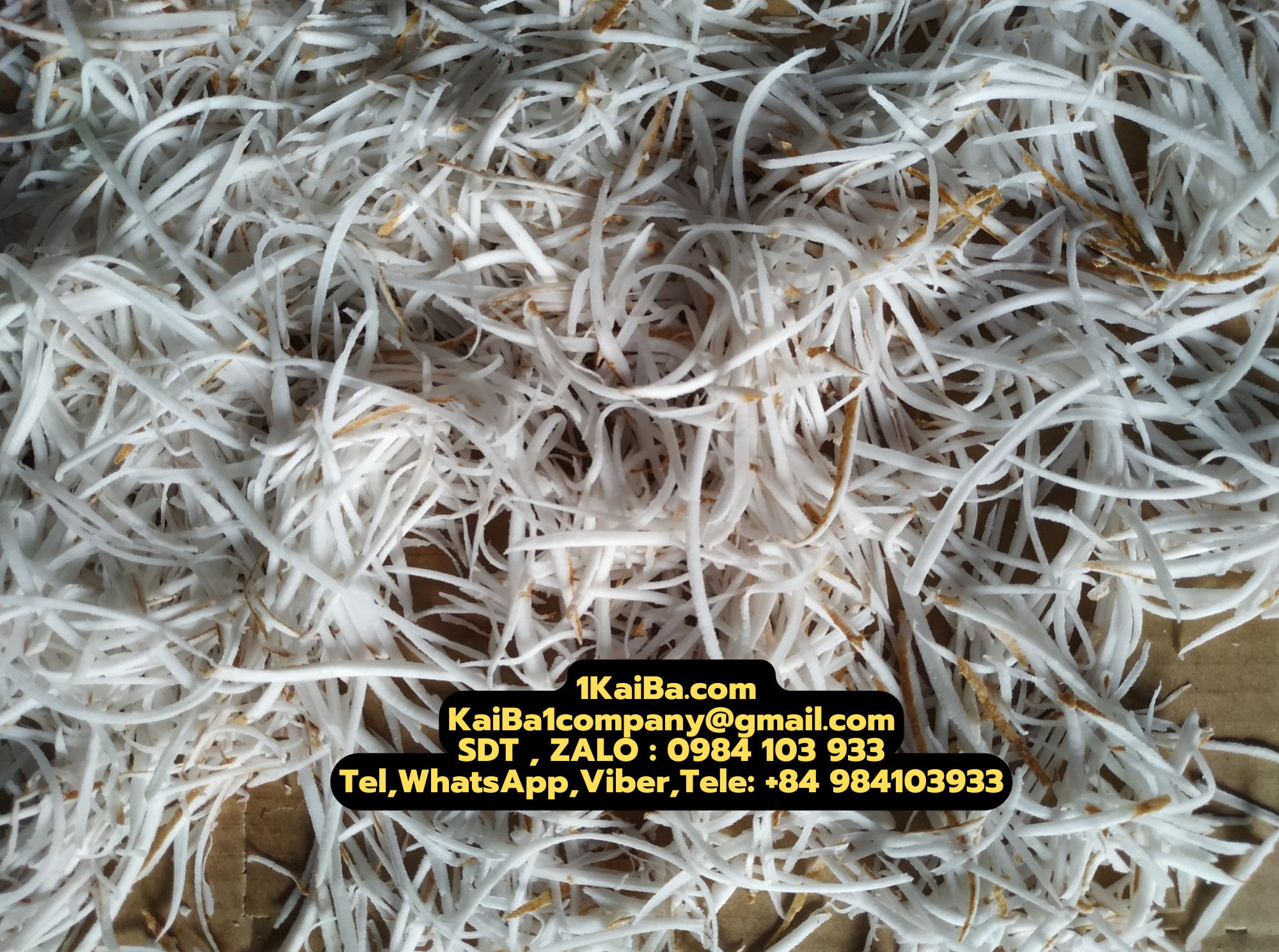 z4569339461927_184679bba662dc543c022bb30bd087c4