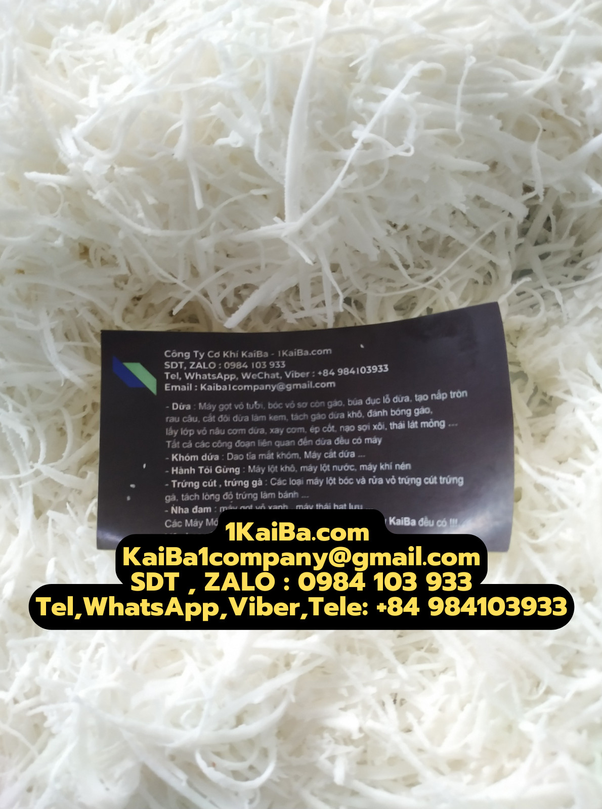 z4886506696527_75e231afde6c4aaa42b809a9a840c6b7