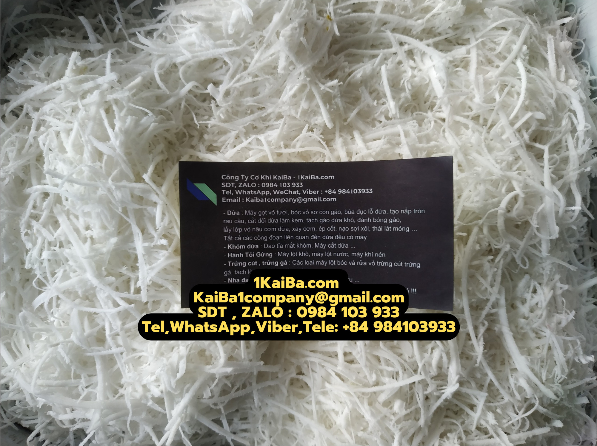 z4886506872318_913d3448a5b54542ad24cf62af9c72af
