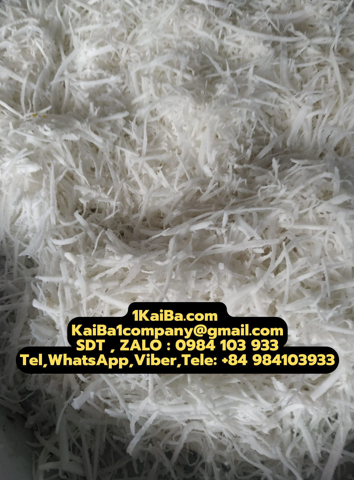 z4886507133348_be60a5ea00cc31456ad2144ea006bb7f