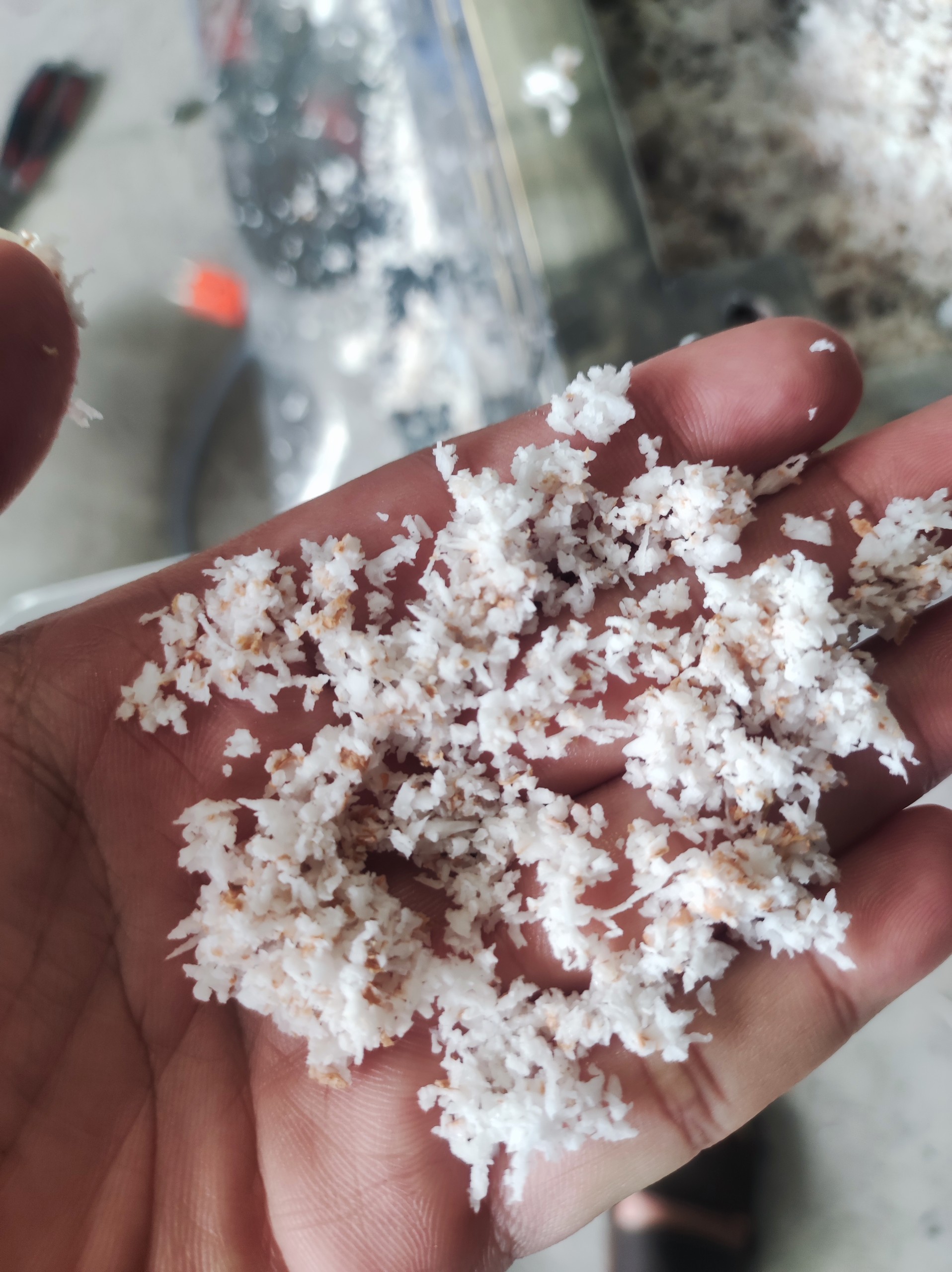 Máy Xay Nhuyễn Dừa Ép Cốt