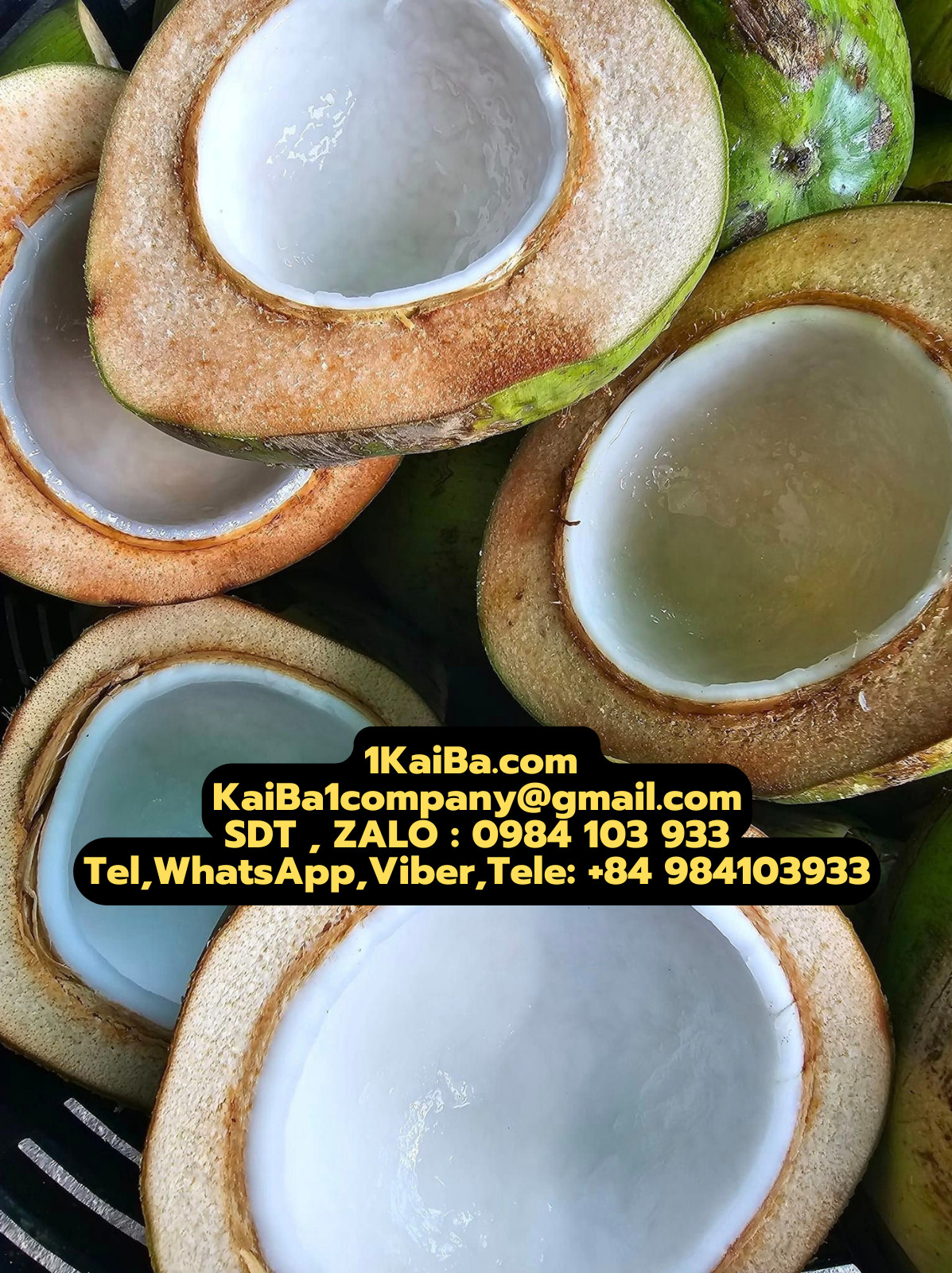 Máy Chặt Dừa Tự Động