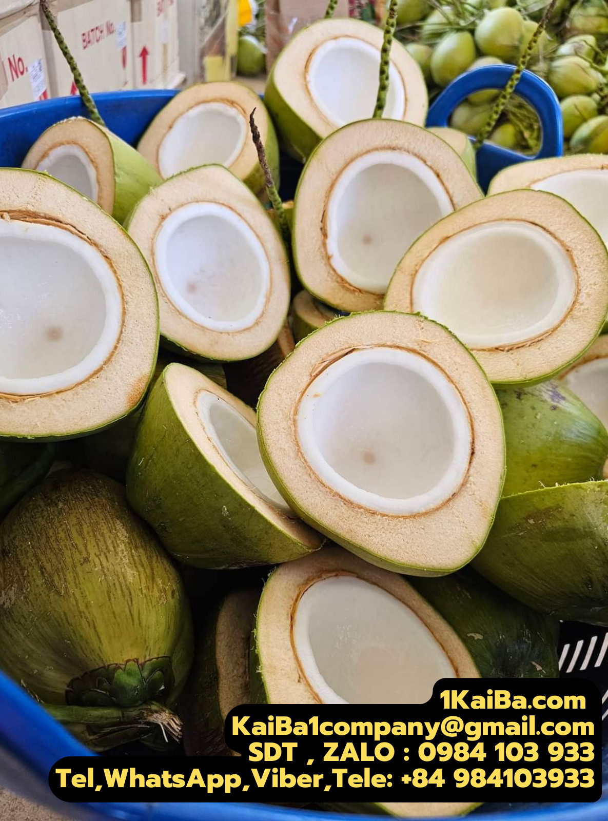 Máy Chặt Dừa Tự Động